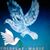 Sharon Larson's profile image