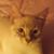 Cindy Lewis's profile image