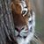 Jeanine Binder's profile image