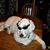 Jason Decker's profile image