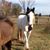 Kathy Holt's profile image