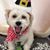 Tim Shortridge's profile image
