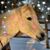 Sue Haneman's profile image