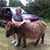 Suzanne Ingram's profile image