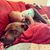 Lori Rowley-Sipple's profile image