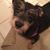 Wendy Ann Grundhoefer's profile image