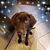 Paula Darling Hunton's profile image