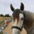 Debra Linboe's profile image