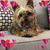 Kathy Oglesby's profile image