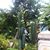 Thanh Duongxuan's profile image