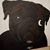 Casey Alexander's profile image