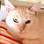 Barbara DeGrande's profile image