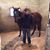 Daniel Morales Bonilla's profile image