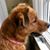Norma Whitby Roupe's profile image
