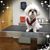 Linda Howard Reynolds's profile image