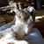 Brenda McCaw's profile image