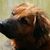 Melissa Crouse Cook's profile image