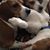 Nancy Reilly's profile image