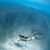 Jennifer Penner's profile image