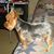 Sharon Henderson Gerber's profile image