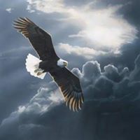 Tony Smith's profile image