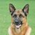 Dave Lemmer's profile image