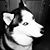 Sheila Kay Fay's profile image