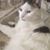 Christina Martinez's profile image