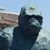 Piet Schreuder's profile image