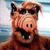 Melissa Dawson Bull's profile image