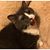 Jennifer Massey Ratcliff's profile image