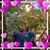Laura Tyrrell Gawronski's profile image