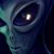 Ed Menzel's profile image