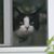 Marlene Way's profile image