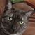 Sue Walker's profile image