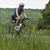 Deanna Herlihy's profile image