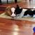 Linda Beier's profile image