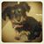 Mike Lawson's profile image