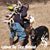 Chris Koepp's profile image