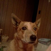 Bunny  Eisele's profile image