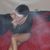 Brittany Nicole Gribble's profile image