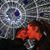 Jessica Morin's profile image