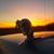 Chandler Fuller's profile image