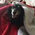 GerryKathy Campbell Brown's profile image