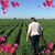 Martha Dalia's profile image