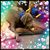 Tom Fletcher's profile image