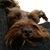 James Newkirk TI's profile image