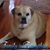 Bonnie Lybarger's profile image