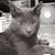 Kally Hedegaard's profile image