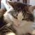 Persephone Floof's profile image